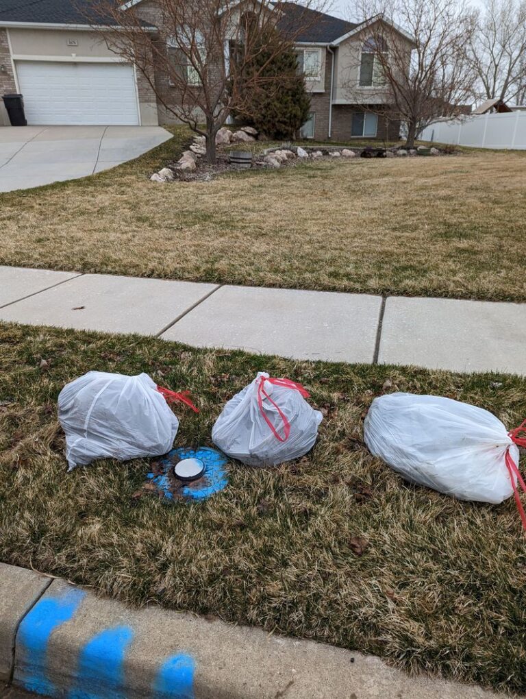 Weekly Dog Waste Removal Pricing in Plain City, Utah